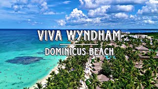 VIVA WYNDHAM DOMINICUS BEACH  4K [upl. by Lundgren585]