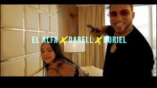 El Alfa El Jefe X Darell X Noriel  Cuatro ka 4K  Letras [upl. by Zysk]