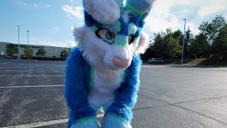 Blue Bunny Fursuit Showcase [upl. by Spark]