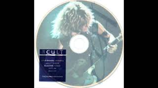 The Cult  Wildflower The Manor Sessions 1988 [upl. by Sihonn534]