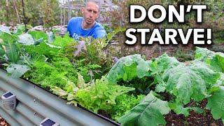 10 ColdHardy Crops You Can Grow Through the Winter Grow at 30°F [upl. by Borroff]