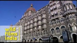 Taj Mahal Hotel  one of Mumbais best known hotels [upl. by Adnorrahs]