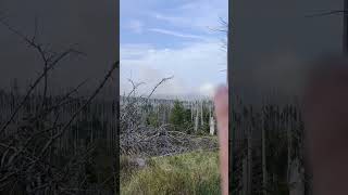 Waldbrand im Harz auf dem Broken [upl. by Romeon]