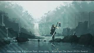 Culture Code amp Caslow feat Nina Sung  Wish You The Best RIZA  Remix Lyric [upl. by Eldnar253]