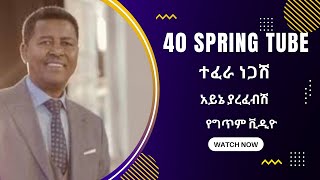 Tefera Negash Ayne yarefebsh ተፈራ ነጋሽ አይኔ ያረፈብሽ Lyrics [upl. by Mapel79]