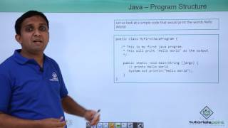 Java  Program Structure [upl. by Yaras]