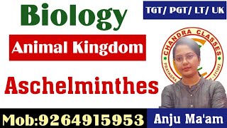 PHYLUM ASCHELMINTHES  ANIMAL KINGDOM  LTTGTPGT BIOLOGY  BY ANJU MAM [upl. by Jarrid313]