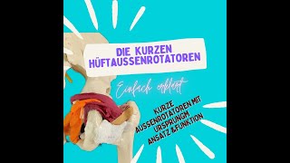 Die kurzen Hüftaußenrotatoren im Detail für meine HMs  Anatomie des Menschen einfach erklärt [upl. by Leone]