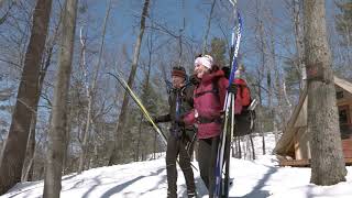 Crosscountry skiing in Gatineau Park [upl. by Altman]