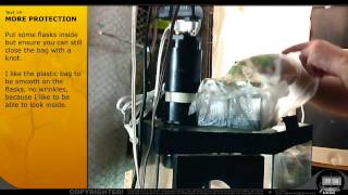 Orchid Seed Germination for Beginners  by Sven Littkowski [upl. by Nagiam718]