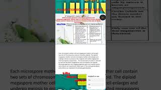 Differentiate between microsporogenesis and megasporogenesis Which type of cell division [upl. by Enedan]