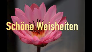 Schöne Weisheiten  Lebensweisheiten  Sprüche und Zitate [upl. by Wadell]