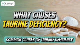 Common Causes of Taurine Deficiency  Unraveling the Potential Triggers [upl. by Marb316]