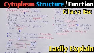 Cytoplasm Structure Functions And Composition  Cytosol  Class 11 Biology [upl. by Emya818]