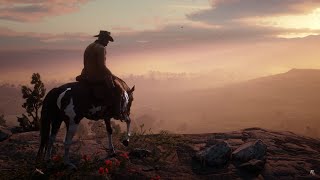 La liberté a un prix  Red Dead Redemption 2 [upl. by Conard]