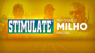 Descubra porque STIMULATE tem o que sua lavoura de MILHO precisa [upl. by Candra676]