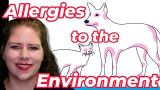 What YOU Should Know About Allergies  Vets Voice Atopic Dermatitis Part 1 [upl. by Ahseya]