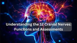 Understanding the 12 Cranial Nerves Functions and Assessments [upl. by Ressler996]