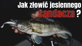 Jak łowić sandacze jesienią ▪️sandacz w listopadzie ▪️ Wędkarstwo spinningowe [upl. by Anaillil]