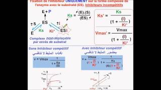 Enzymes Inhibiteurs incompétitifs version Fr [upl. by Eanar]