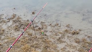 Fishing tarbela dammachli ka shikar tarbela dam [upl. by Ettennor]