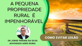 PEQUENA PROPRIEDADE RURAL IMPENHORAVEL [upl. by Hiro930]