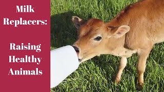 Milk Replacer Raising Healthy Animals [upl. by Yrroc]