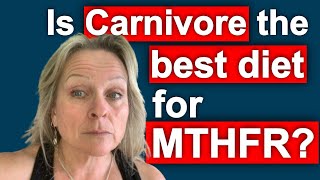 Carnivore or Animal Based Diet Is The Best Mthfr Diet [upl. by Onaled]