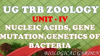 NUCLEIC ACIDS CHEMICAL BASIS OF HEREDITARY GENEMUTATION GENETICS OF BACTERIA UG TRB ZOOLOGY IV [upl. by Lalitta710]