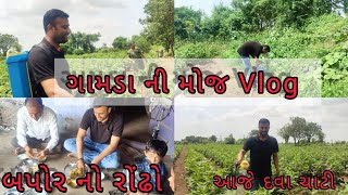 ગામડા ની મોજ અને બપોર ના રોંઢો ફૂલ Vlog  Gamda ni Maja ane Bapor no Rondho  Dhavalmaniya [upl. by Chang5]