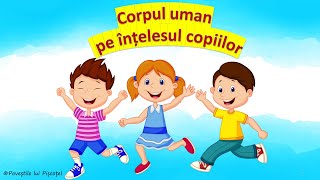 Corpul uman pe înțelesul copiilor  Corpul uman  grădiniță Corpul omenesc Corpul meu [upl. by Enyamart]