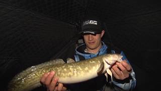 Discovering  Night fishing for Burbot UnderIce Bait Bag [upl. by Symer]