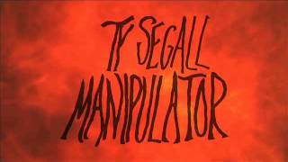 Ty Segall  The Feels From MANIPULATOR [upl. by Amedeo787]