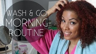 Wash amp Go Morning Routine for Curly Hair [upl. by Renrag151]