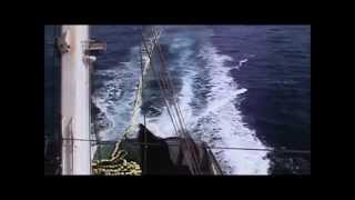 Tuna Purse Seine Fishing Quick Summary [upl. by Mona527]