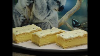 The Other Iconic Vanilla Slice  vanilla slice recipes  custard recipes [upl. by Elleinnad]