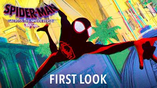 SPIDERVERSE CONFIRMADO  VRCHAT [upl. by Leunamesoj]