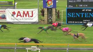 Capalaba04022024Race9 [upl. by Klatt]