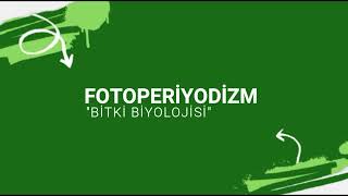 AYT BİTKİ BİYOLOJİSİ FOTOPERİYODİZM [upl. by Fisken]