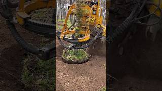 treecutting treecuttingservice didingmachine treedidingvideo treeremoval treedidingmachine [upl. by Rramed606]