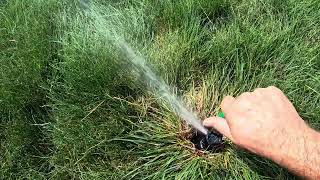 How to adjust Rain Bird 5000 rotor sprinkler [upl. by Des]