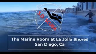 Diving Shallow with Turtles at the Marine Room  La Jolla Shores  San Diego  California [upl. by Sucramel]