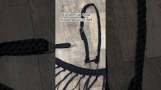 Black mule tape tripping collar and simple headstall Check out our website horsetack [upl. by Fionna]