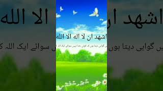 azan azanmadinah  beautiful Azan yt short qari Zain  islamicscripture islamicclips [upl. by Luciano]