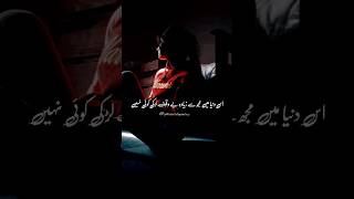 Heart broken sad Stetus 💔🥀 urdaushayri urdusadstutus ytshorts shortvideo zohraurdupoetry [upl. by Gall225]