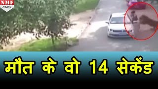 zoo में car से नीचे उतरी महिला को झपट कर ले गई मौत [upl. by Mady79]