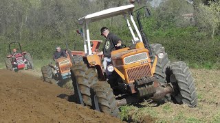 ARATURA DI GRUPPO CON TRATTORI D EPOCA 2024 FIATMASSEY FERGUSONOM [upl. by Selma956]