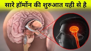 शरीर मे सारे हॉर्मोन को कंट्रोल कौन करता है  hormones of hypothalamus [upl. by Giesser]