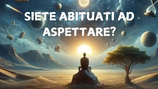 SIETE ABITUATI AD ASPETTARE [upl. by Brindell]