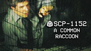 SCP1152  A Common Raccoon  Object Class  Safe  Cognitohazard SCP [upl. by Priscella928]